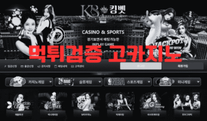 먹튀검증 고카지노