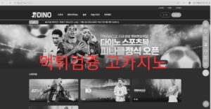 먹튀검증 고카지노
