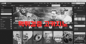 먹튀검증 고카지노